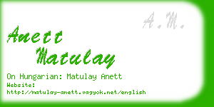 anett matulay business card